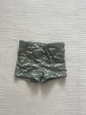 Rylee and cru swimming trunks